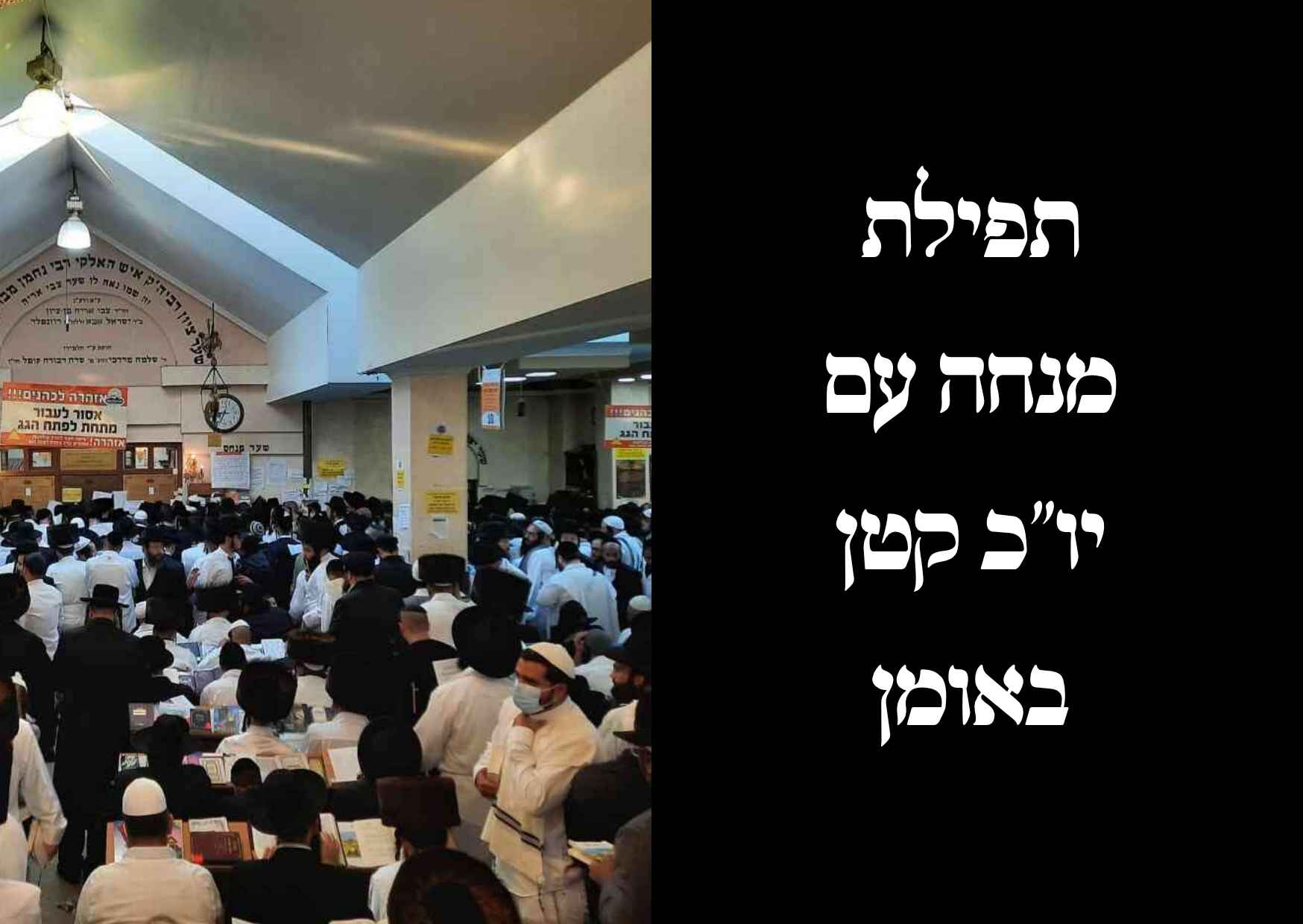 סגולה לפרנסה: פרשת המן - שניים מקרא ואחד תרגום