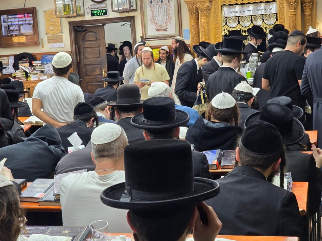 אומן: אלפי משתתפים בקיבוץ שבועות תשפ"ו