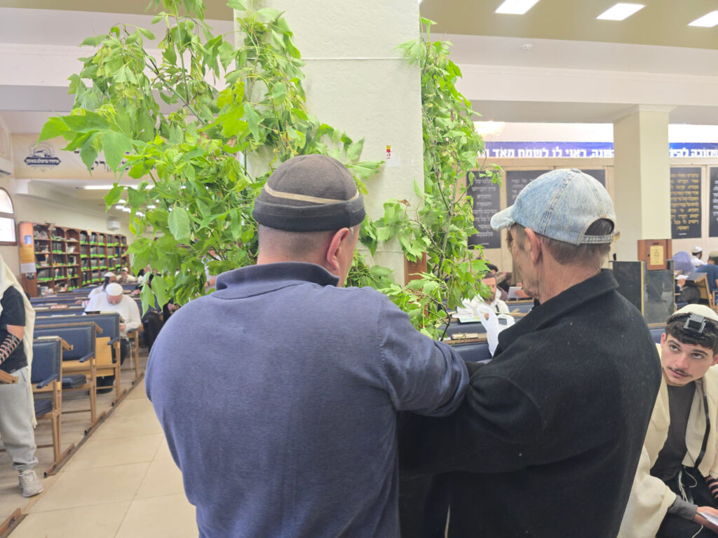 קיבוץ חג השבועות תשפ"ו: סיכום ימי החג בציון רבינו הקדוש