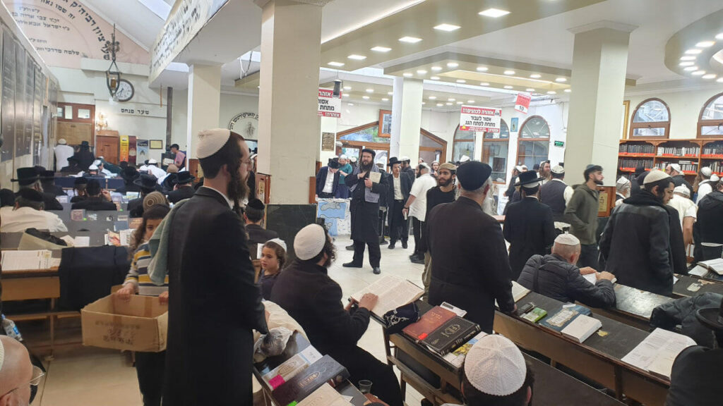 תמונות מאומן: גלריה מקיבוץ חג השבועות תשפ"ו בציון רבינו הקדוש | קרדיט צילום: בנימין גוטפרב