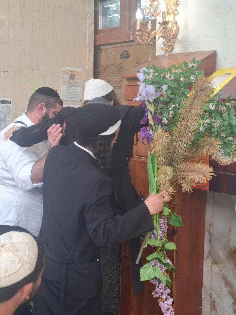 תמונות מאומן: גלריה מקיבוץ חג השבועות תשפ"ו בציון רבינו הקדוש | קרדיט צילום: בנימין גוטפרב