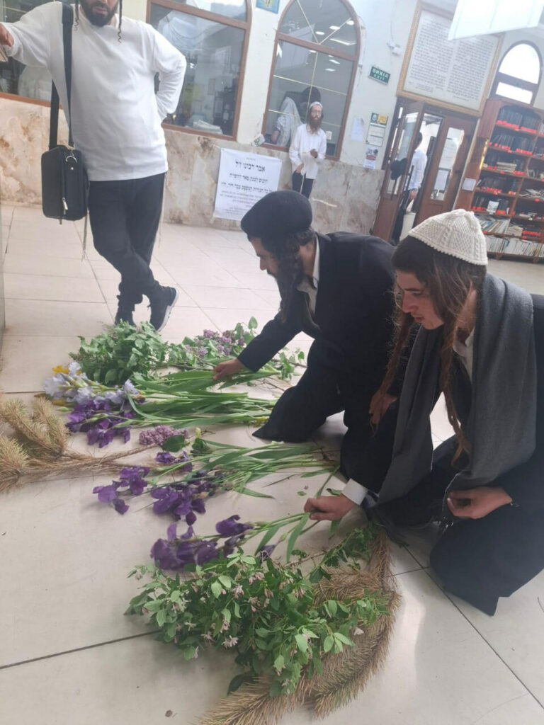 תמונות מאומן: גלריה מקיבוץ חג השבועות תשפ"ו בציון רבינו הקדוש | קרדיט צילום: בנימין גוטפרב