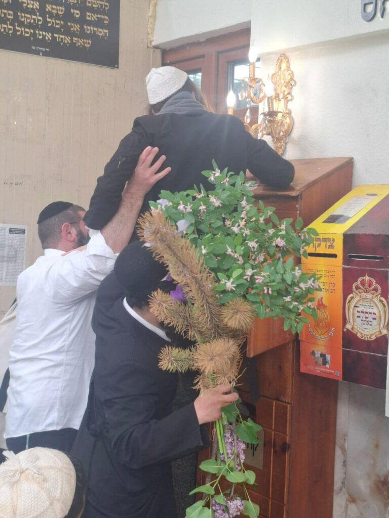 תמונות מאומן: גלריה מקיבוץ חג השבועות תשפ"ו בציון רבינו הקדוש | קרדיט צילום: בנימין גוטפרב