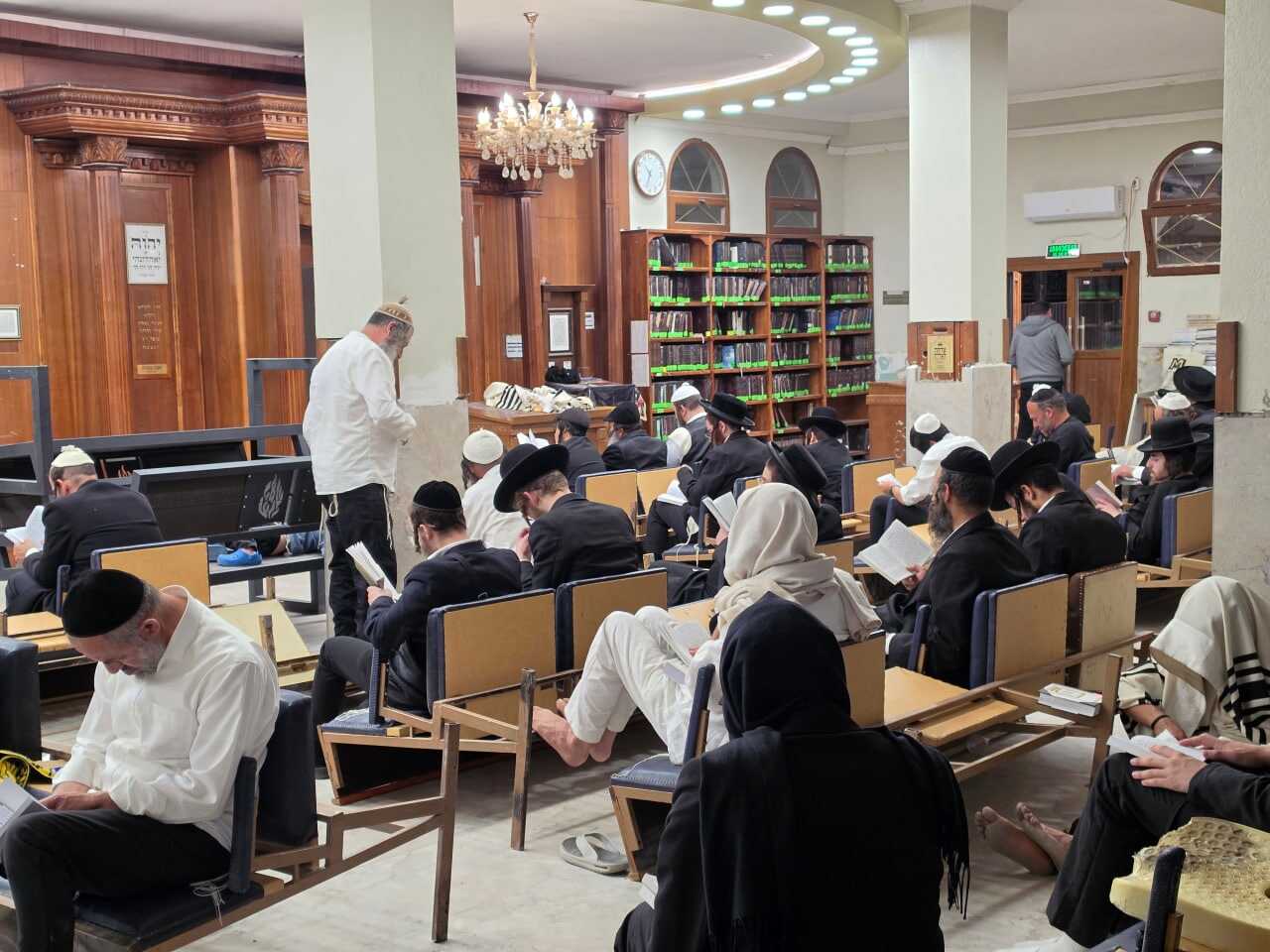 גלריה דומעת: קריאת מגילת איכה ואמירת הקינות בליל תשעה באב תשפ"ו בהיכל ציון רבנו הקדוש באומן
