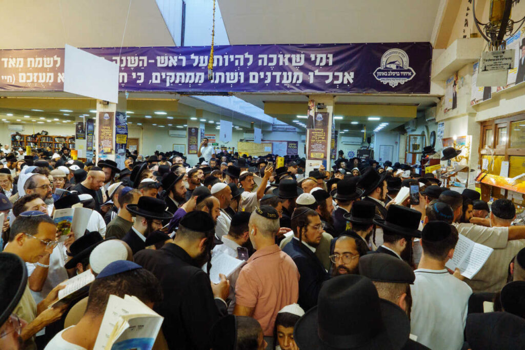 המון אנשים מתפללים באומן