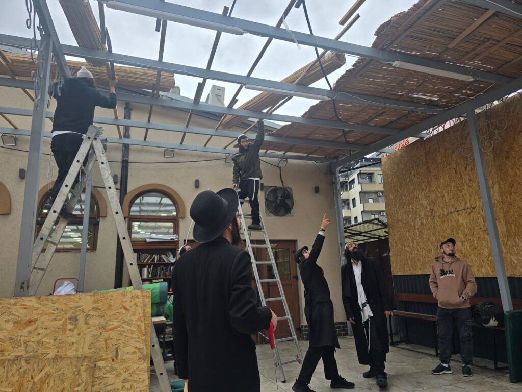 היערכות לסוכות בציון רבינו: סוכות גדולות הוקמו באומן לקראת החג וההילולה