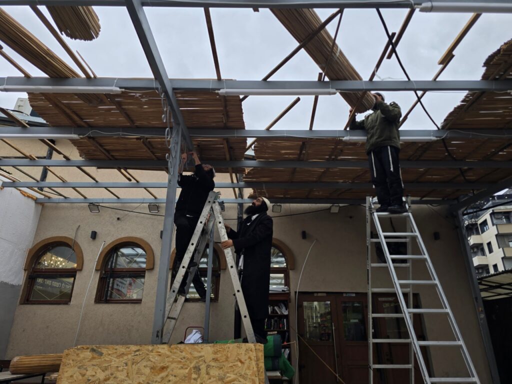 היערכות לסוכות בציון רבינו: סוכות גדולות הוקמו באומן לקראת החג וההילולה
