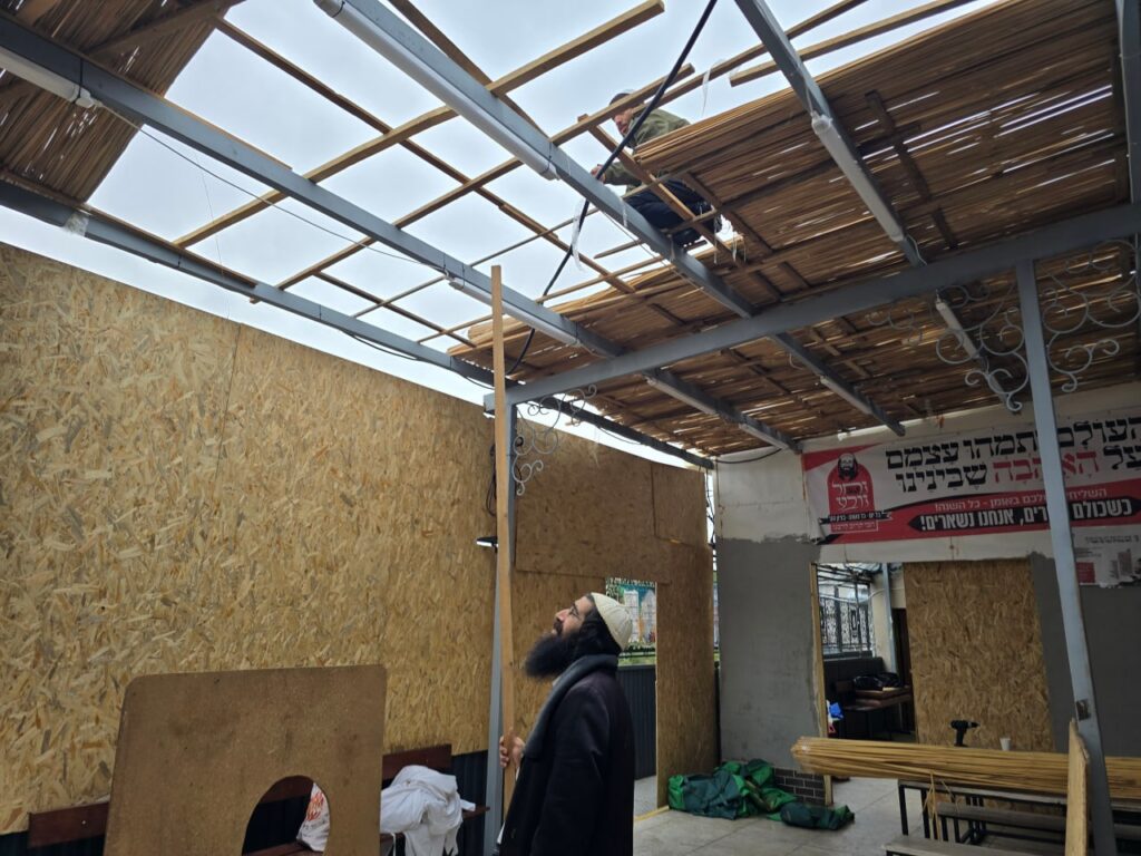 היערכות לסוכות בציון רבינו: סוכות גדולות הוקמו באומן לקראת החג וההילולה