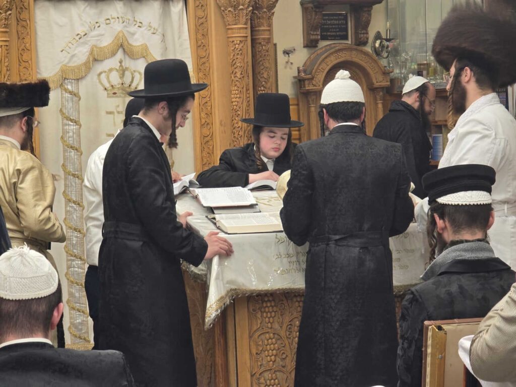סוכות באומן: גלריה ממראות חג הסוכות בציון רבינו הקדוש