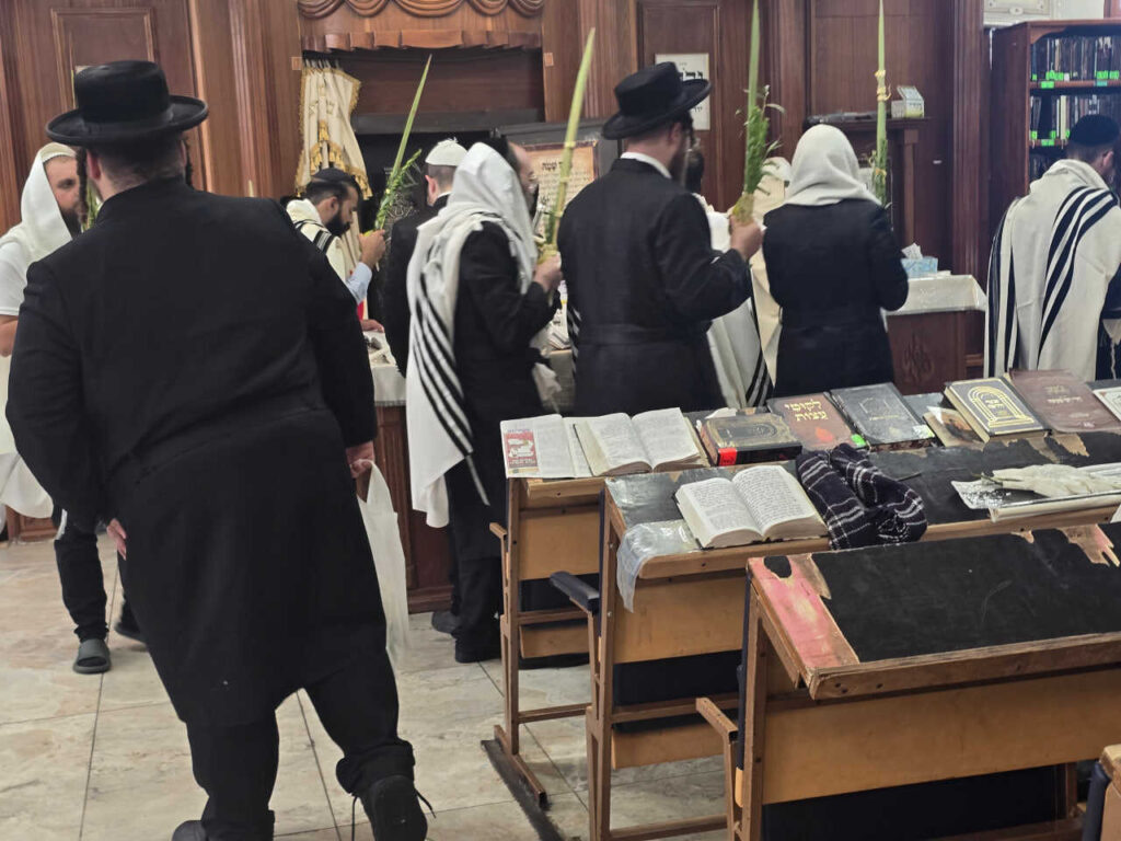 סוכות באומן: גלריה ממראות חג הסוכות בציון רבינו הקדוש