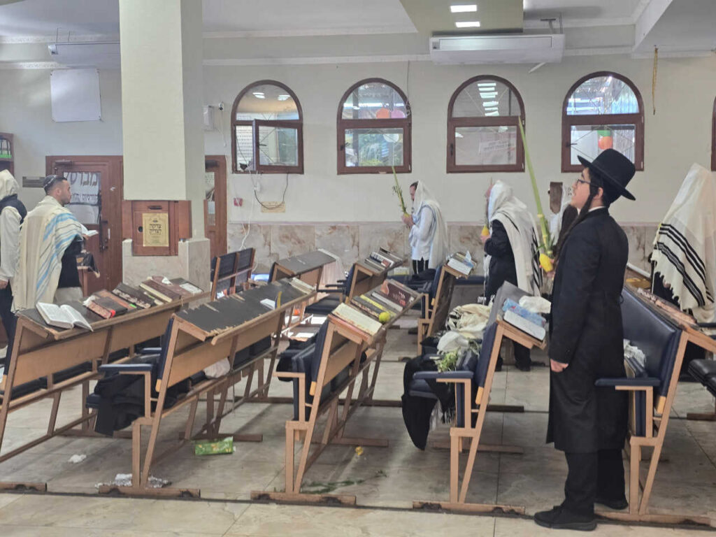 סוכות באומן: גלריה ממראות חג הסוכות בציון רבינו הקדוש