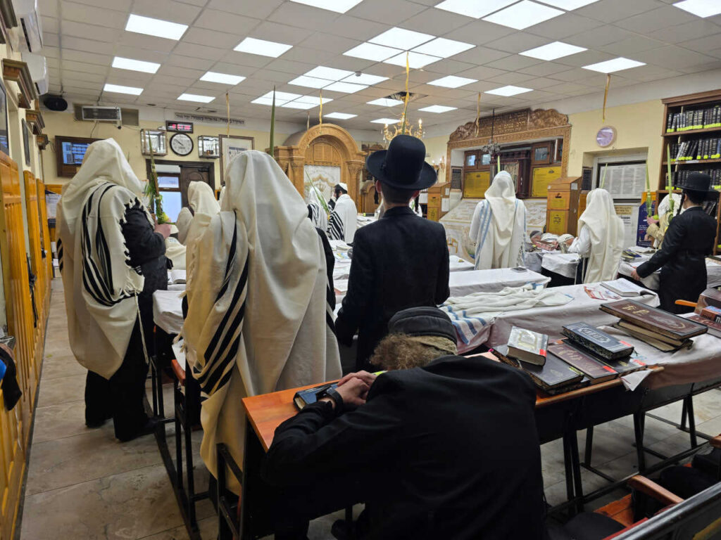 סוכות באומן: גלריה ממראות חג הסוכות בציון רבינו הקדוש