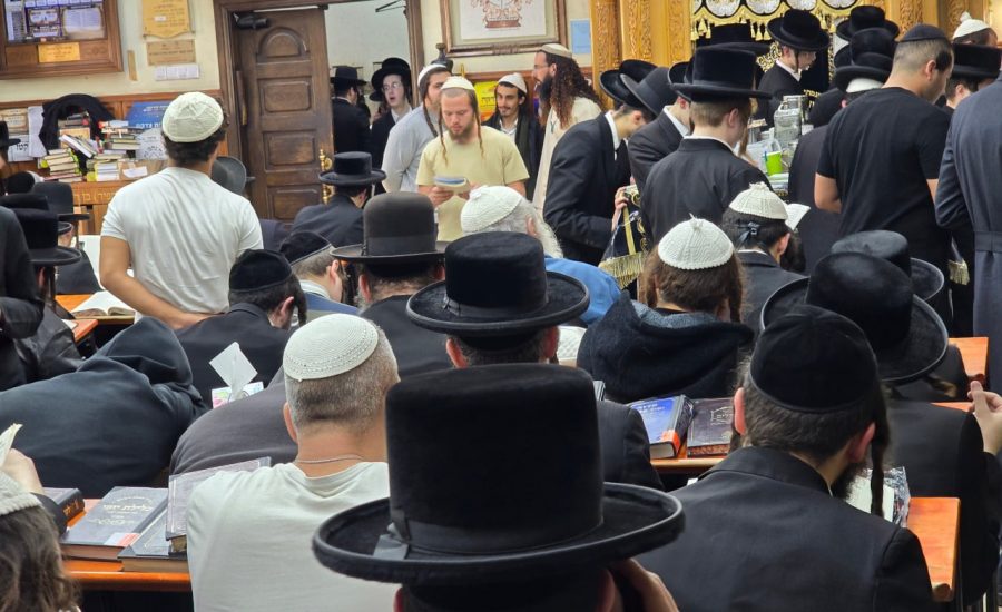 אומן: אלפי משתתפים בקיבוץ שבועות תשפ"ו