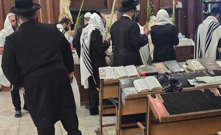 סוכות באומן: גלריה ממראות חג הסוכות בציון רבינו הקדוש