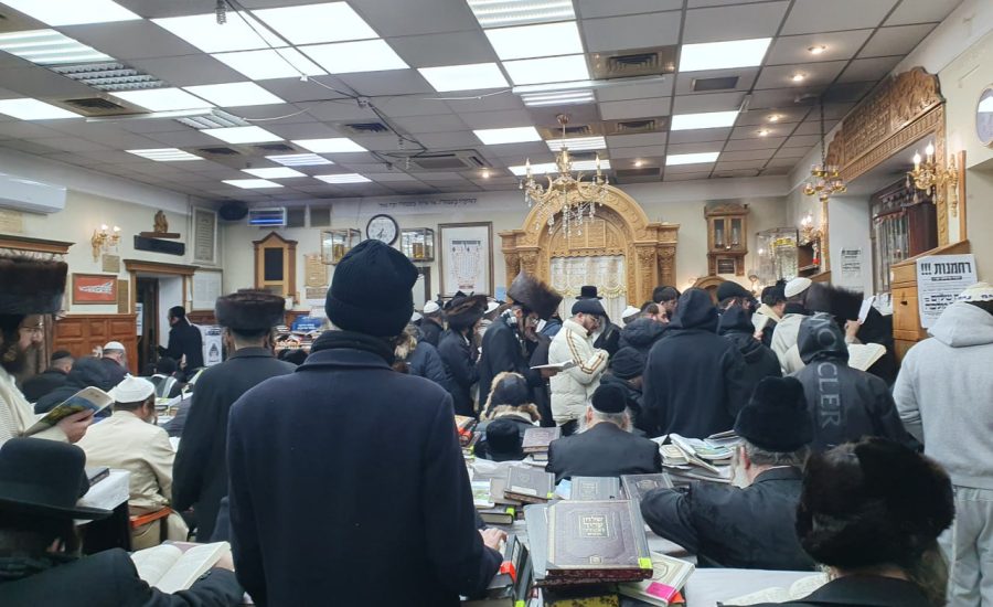 שבת חנוכה באומן: אלפים השתתפו בקיבוץ שבת חנוכה תשפ"ו